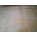 2440x1220x18mm radiate pine plywood